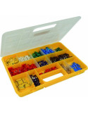 COFFRET DE 326 FUSIBLES A BROCHES + STEATITE