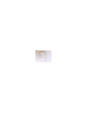 Cabochon Blanc pour Feu Corne - Accessoire de Remplacement