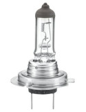Ampoule Halogène H7 24V 70W PX26d HEAVY DUTY – Hella | PG Distribution