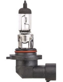 Ampoule H10 Standard 12V 42W PY20d – Éclairage Auto de Qualité