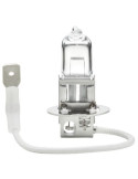 Ampoule Halogène 12V 16W BAX9s - OSRAM | Éclairage Auto