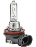 Ampoule H9 Standard 12V 65W - Culot PGJ19-5 | PG Distribution