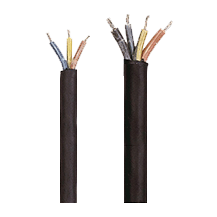 Gestion électrique & Connectivité